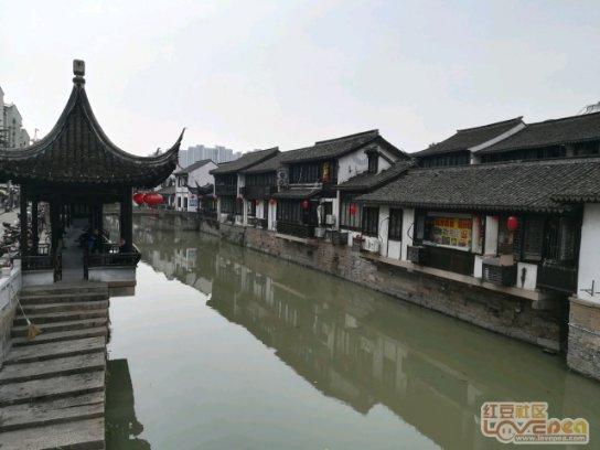 植物大战僵尸8